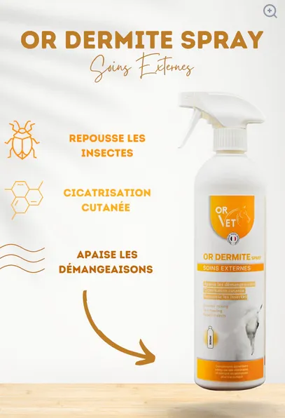 dermate spray for skin conditions