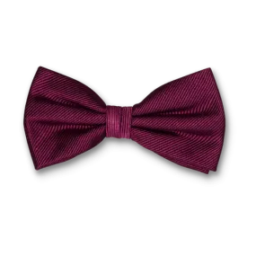 Noeuds papillon / Nœud papillon homme aubergine