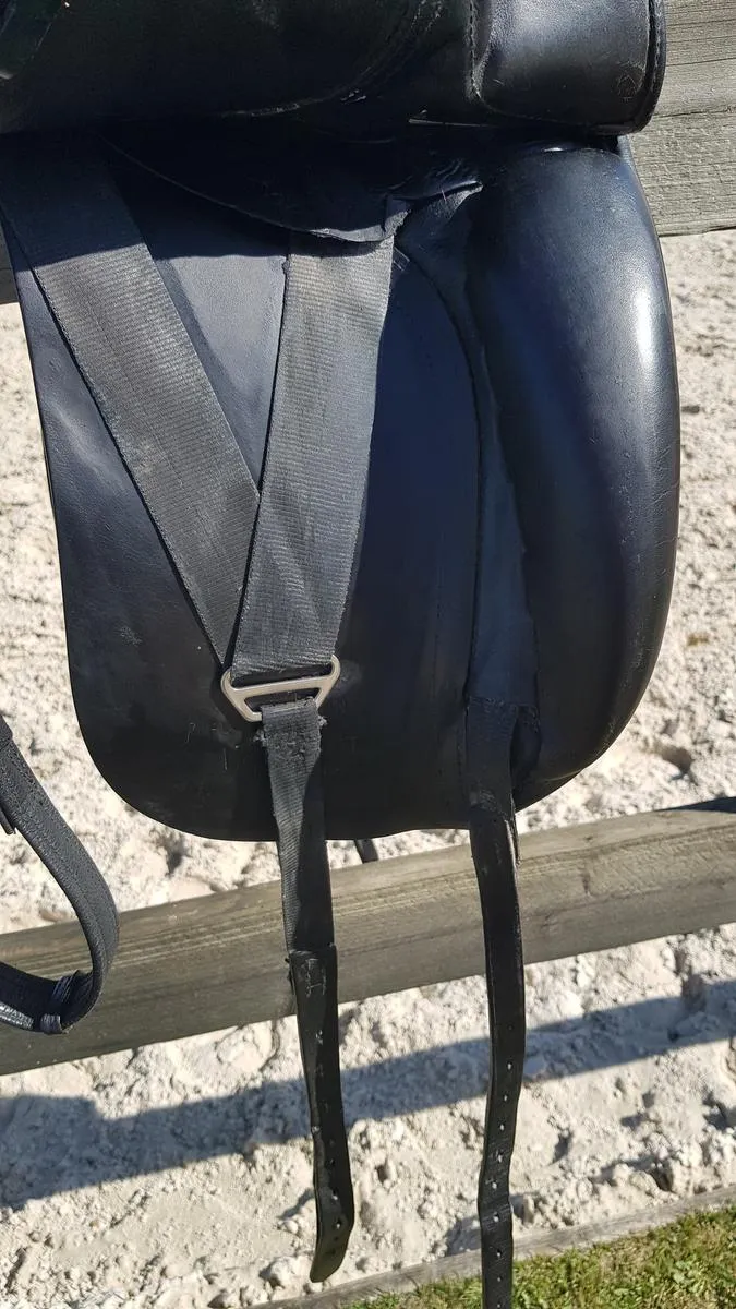 diamant equipped Euroriding dressage saddle