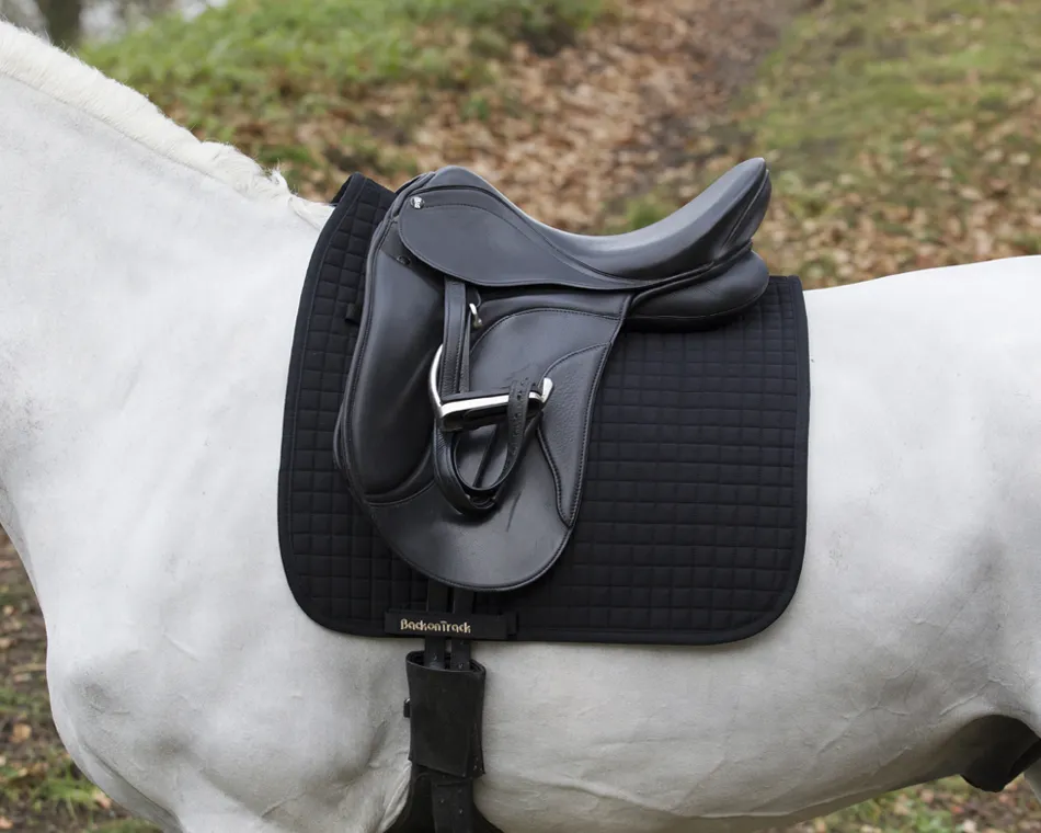 Tapis No.Ⅰ Dressage Back On Track - Equipement cheval