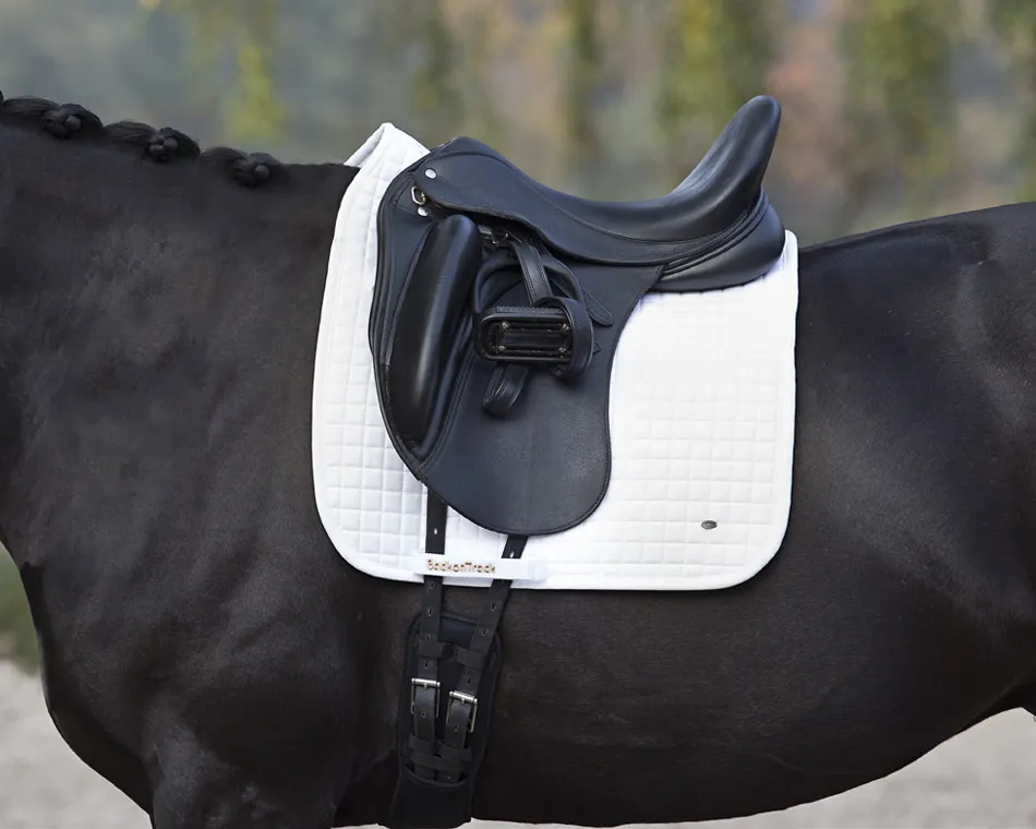 Tapis No.Ⅰ Dressage Back On Track - Equipement cheval