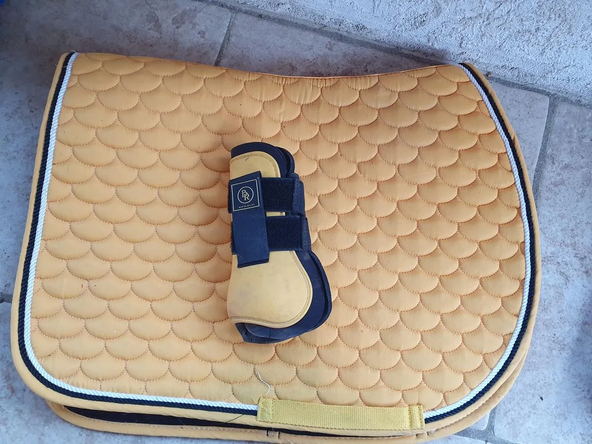 Yellow Rug